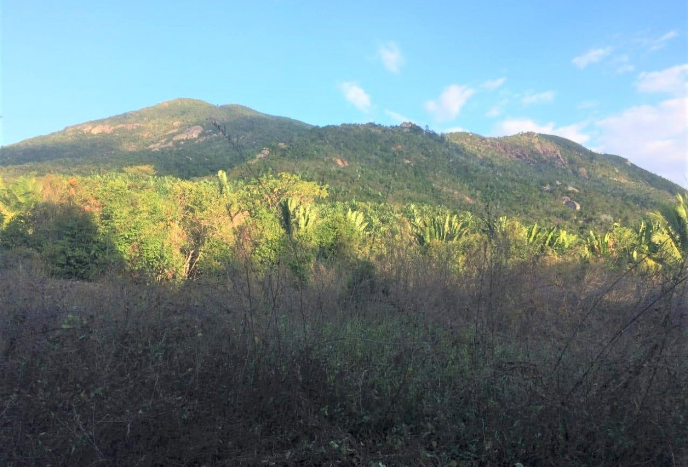 vente Propriété Nosy Faly - Photo 6