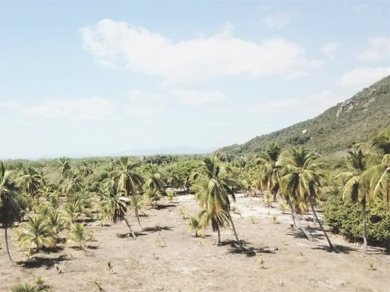 à vendre Propriété Nosy Faly - Photo 8