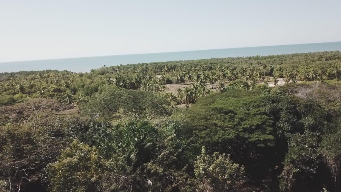 à vendre Propriété Nosy Faly - Photo 9