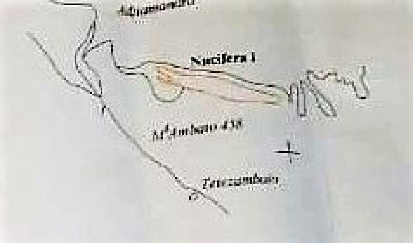 à vendre Propriété Nosy Faly - Photo 10