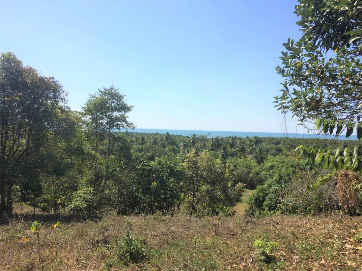 à vendre Propriété Nosy Faly - Photo 5