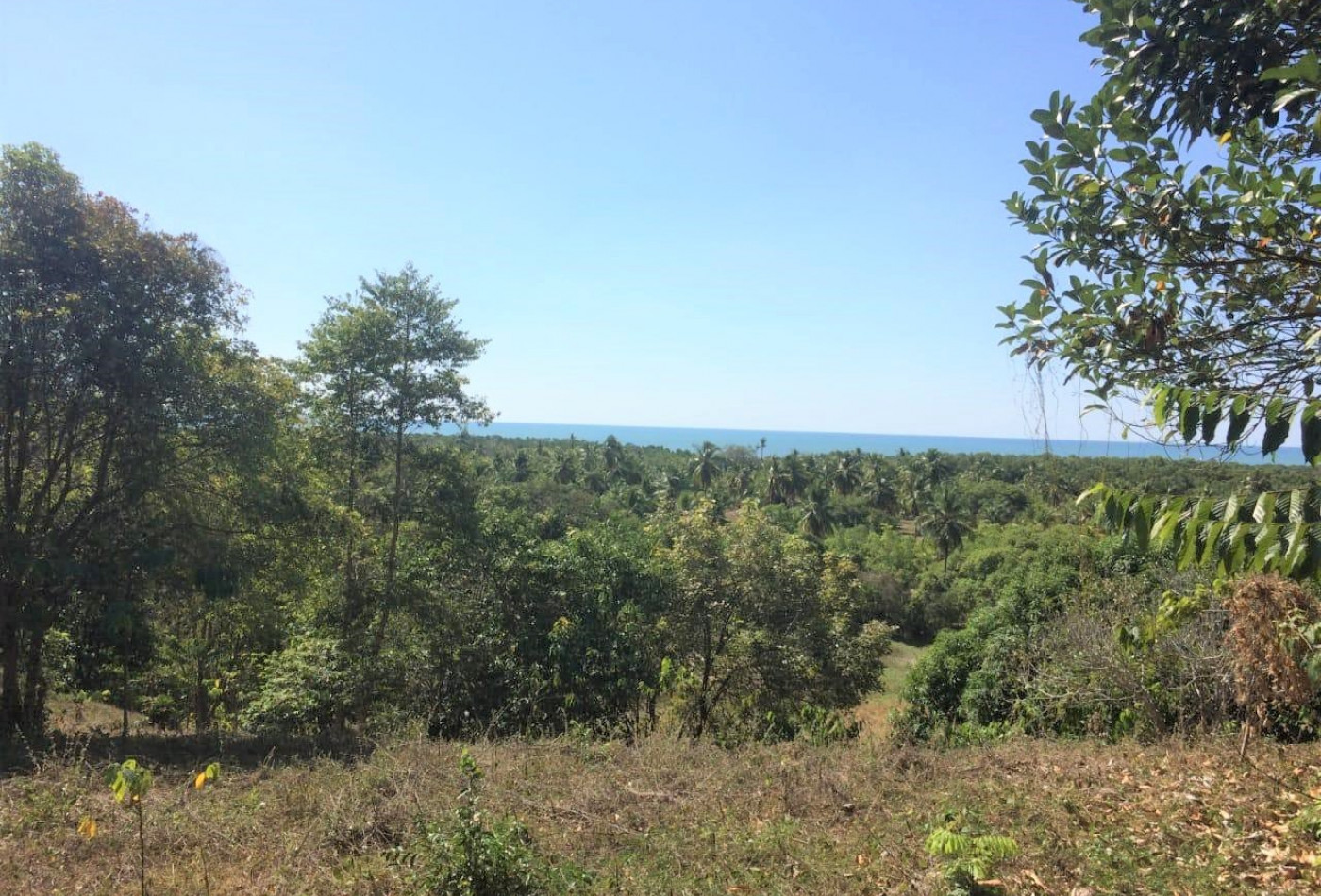 vente Propriété Nosy Faly - Photo 5