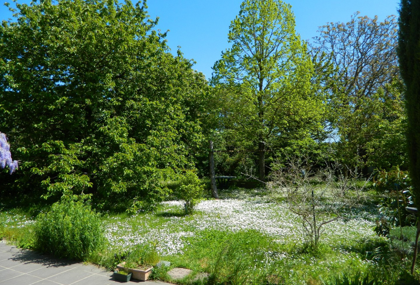 vente Maison de campagne Blois - Photo 2