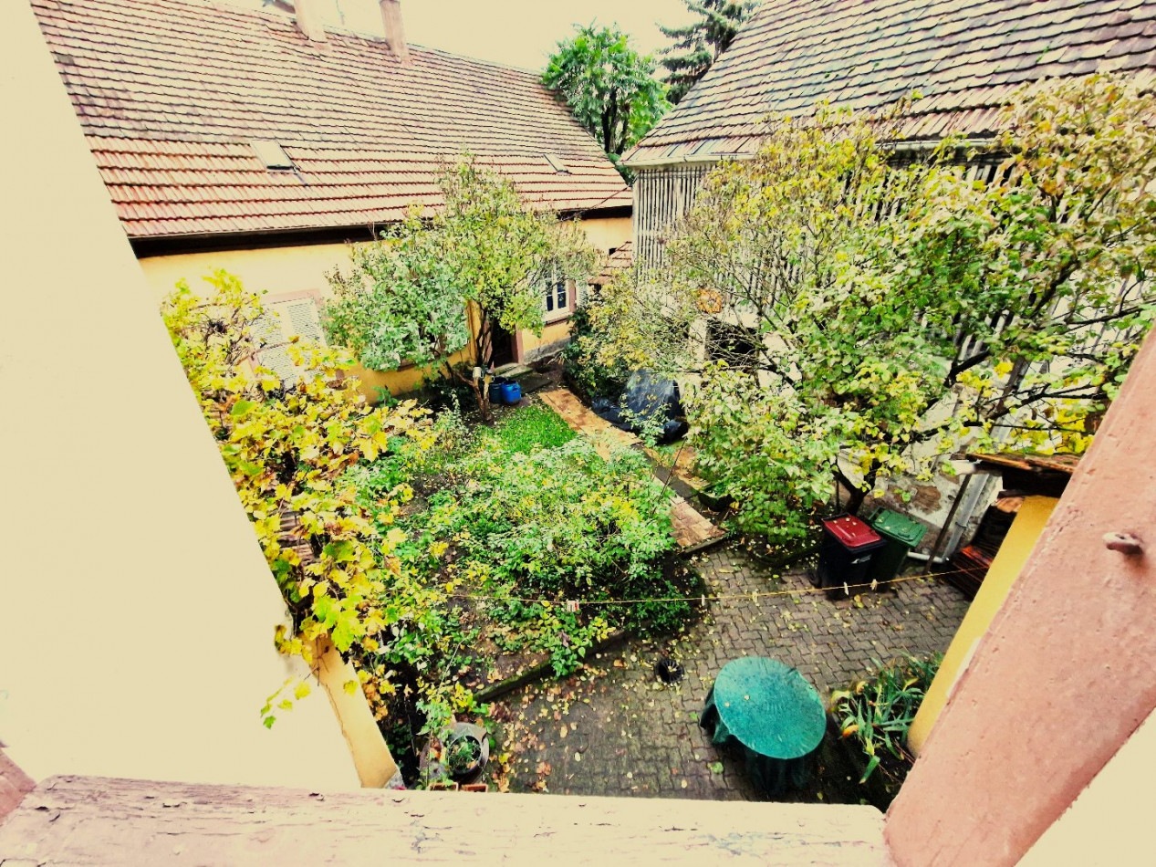 à vendre Maison à rénover Bischwiller - Photo 7