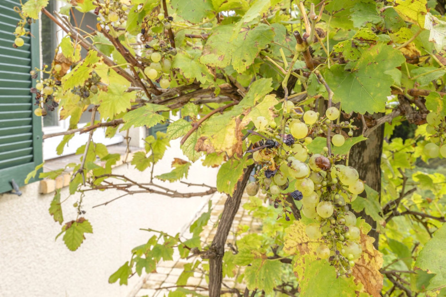vente Maison Louveciennes - Photo 10