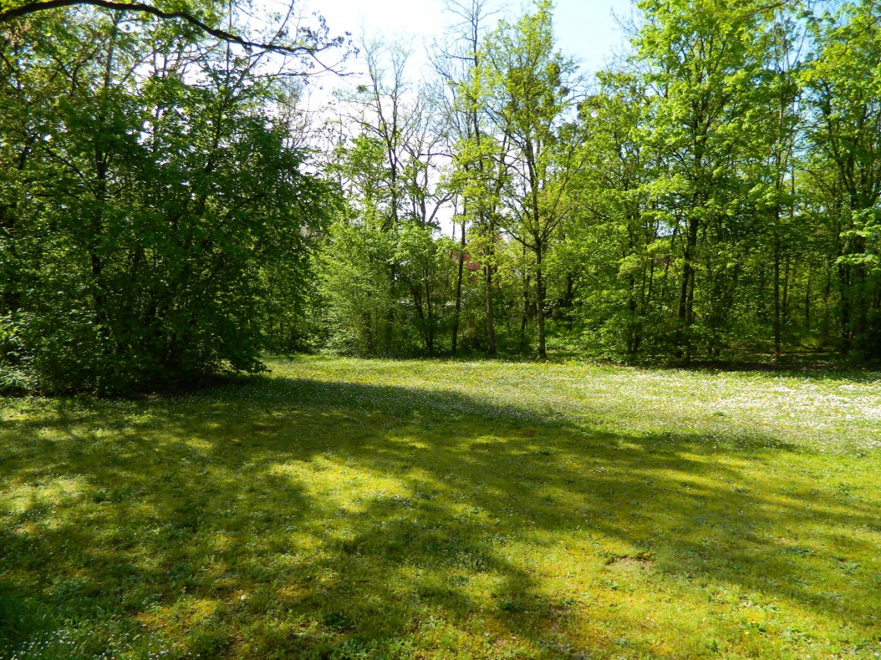 à vendre Appartement La Chaussee Saint Victor - Photo 10