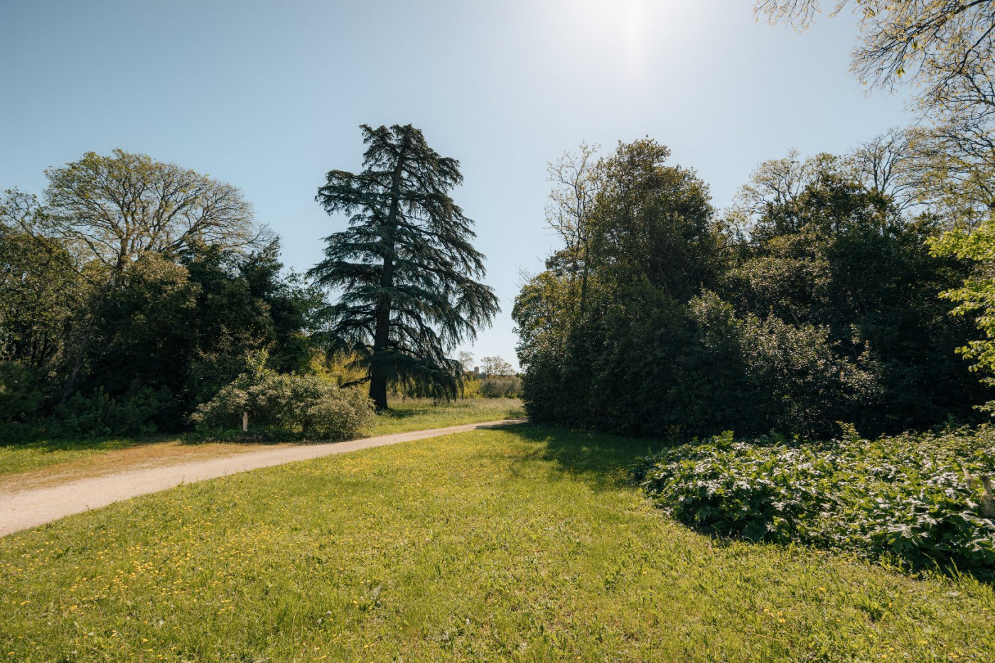à vendre Propriété Bollene - Photo 4