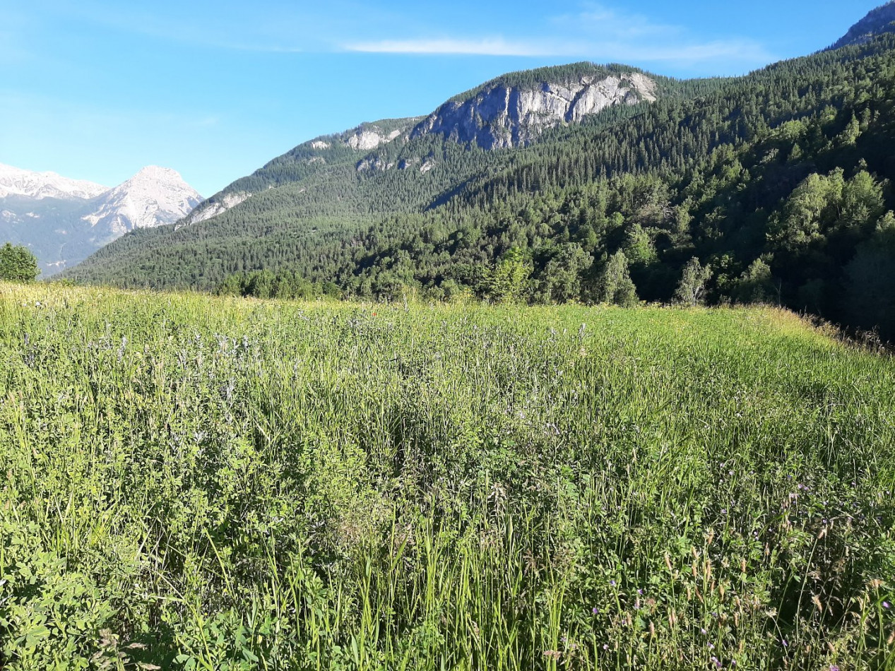 à vendre Terrain à aménager Vallouise - Photo 2