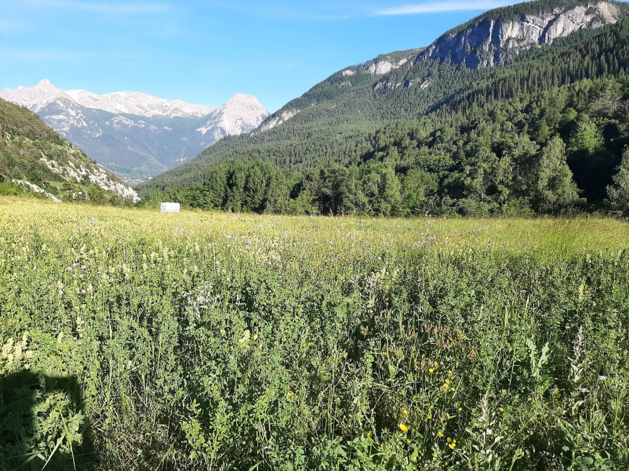 à vendre Terrain à aménager Vallouise - Photo 3