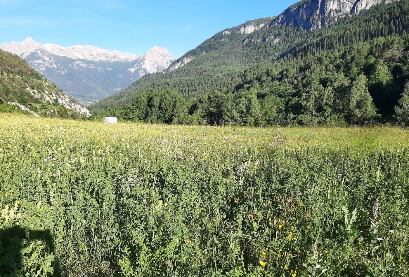 vente Terrain à aménager Vallouise - Photo 3