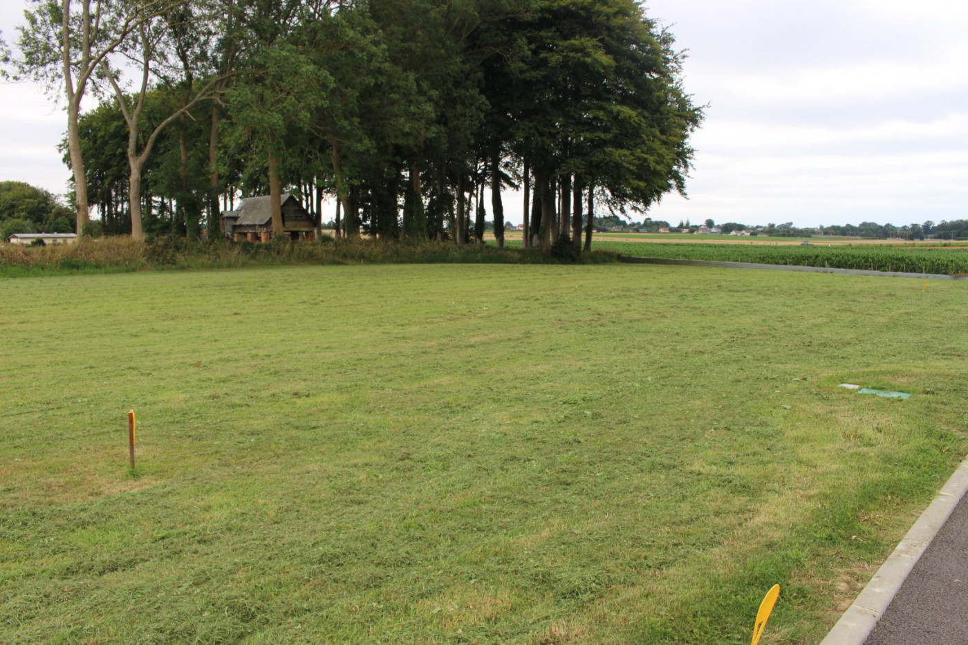 à vendre Terrain constructible Therouldeville - Photo 3