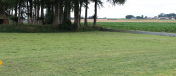 vente Terrain constructible Therouldeville