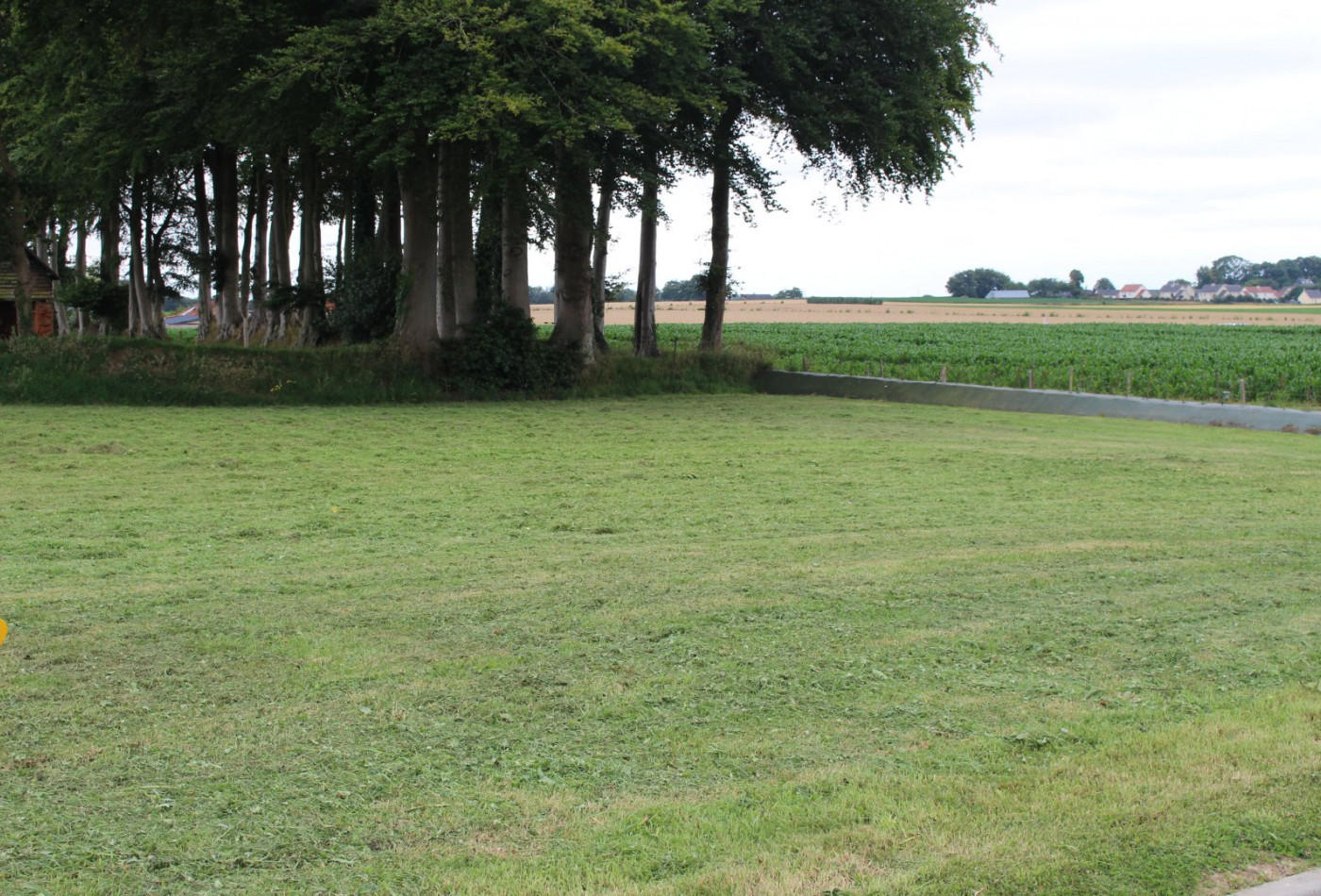 vente Terrain constructible Therouldeville - Photo 6