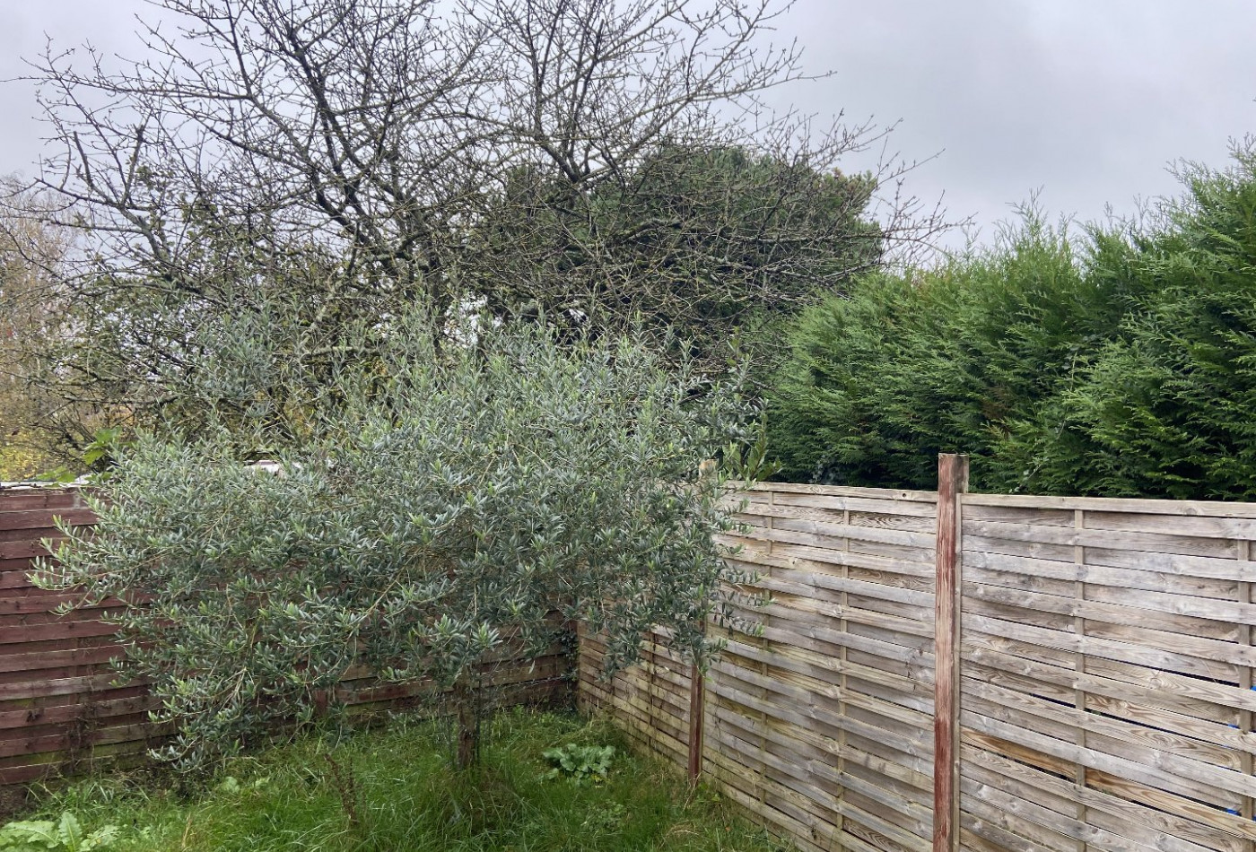 vente Maison Cesson - Photo 3