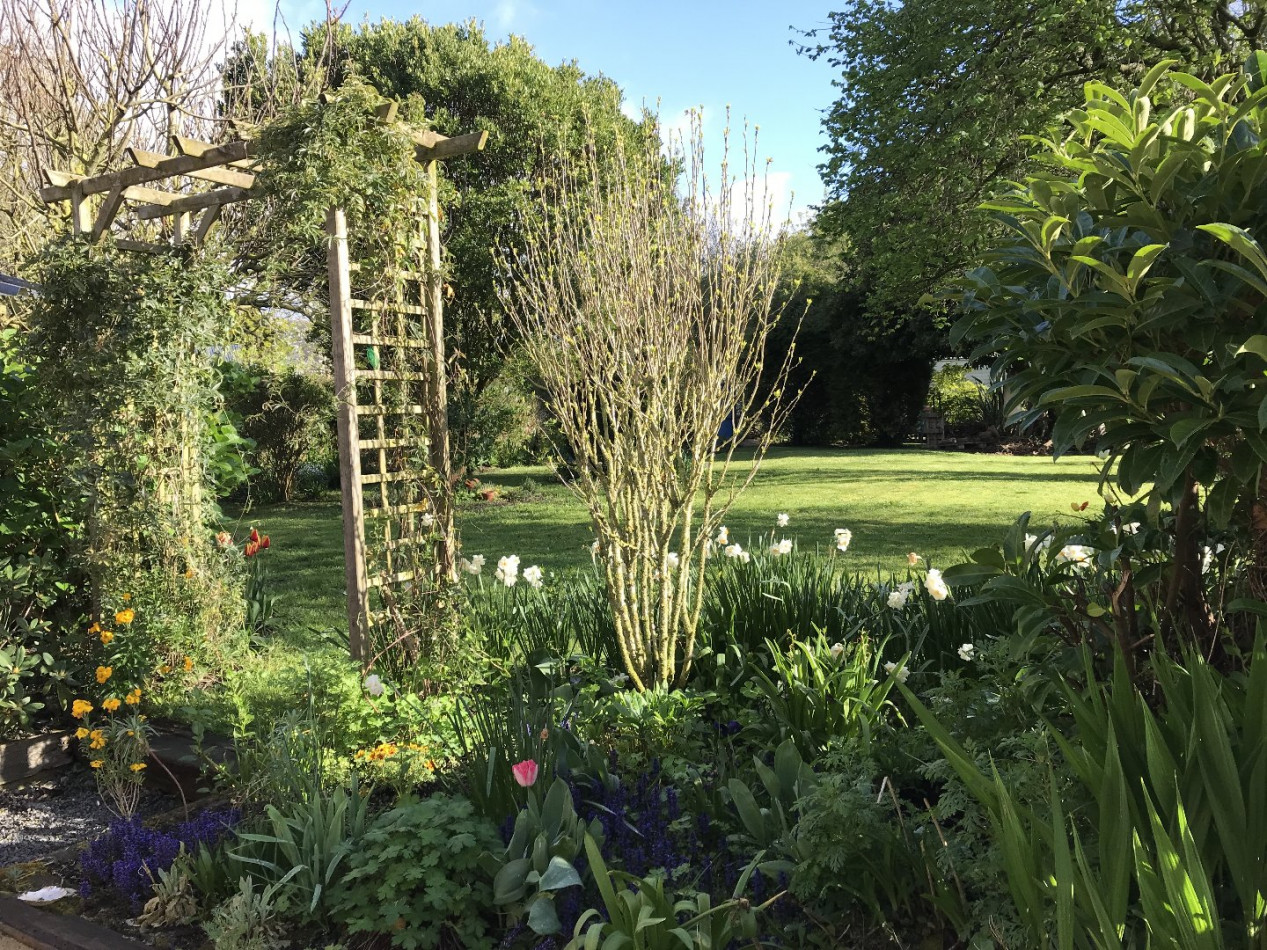 à vendre Maison Ardevon - Photo 2