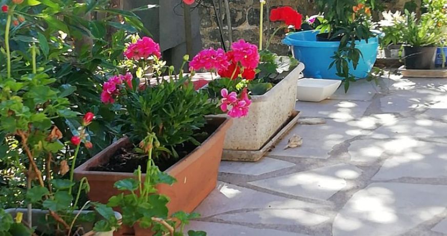 vente Maison de ville Nanterre