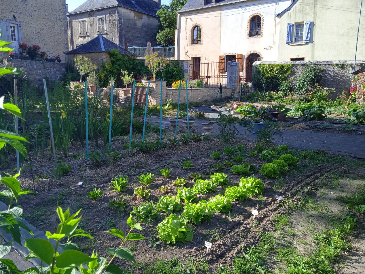 à vendre Maison de campagne Chemere Le Roi - Photo 3