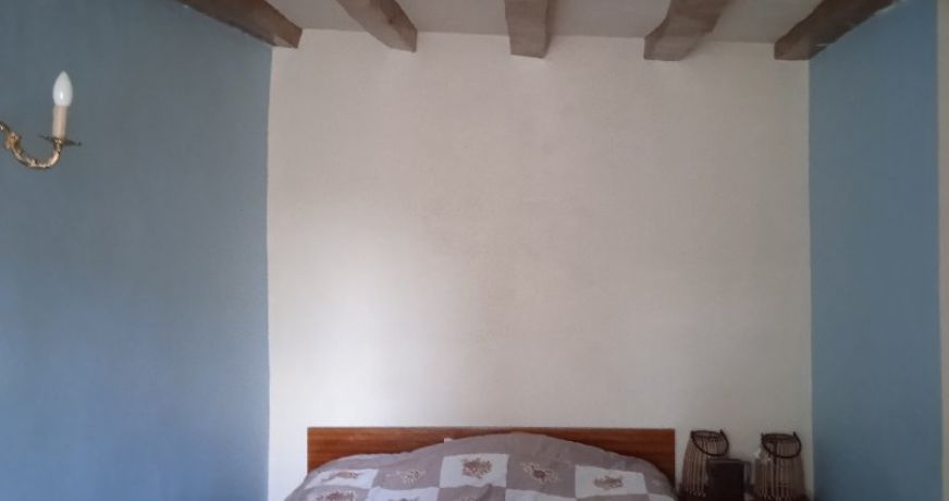 vente Maison de campagne Chemere Le Roi