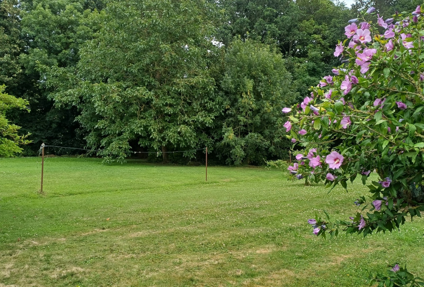 vente Maison Matignon - Photo 1