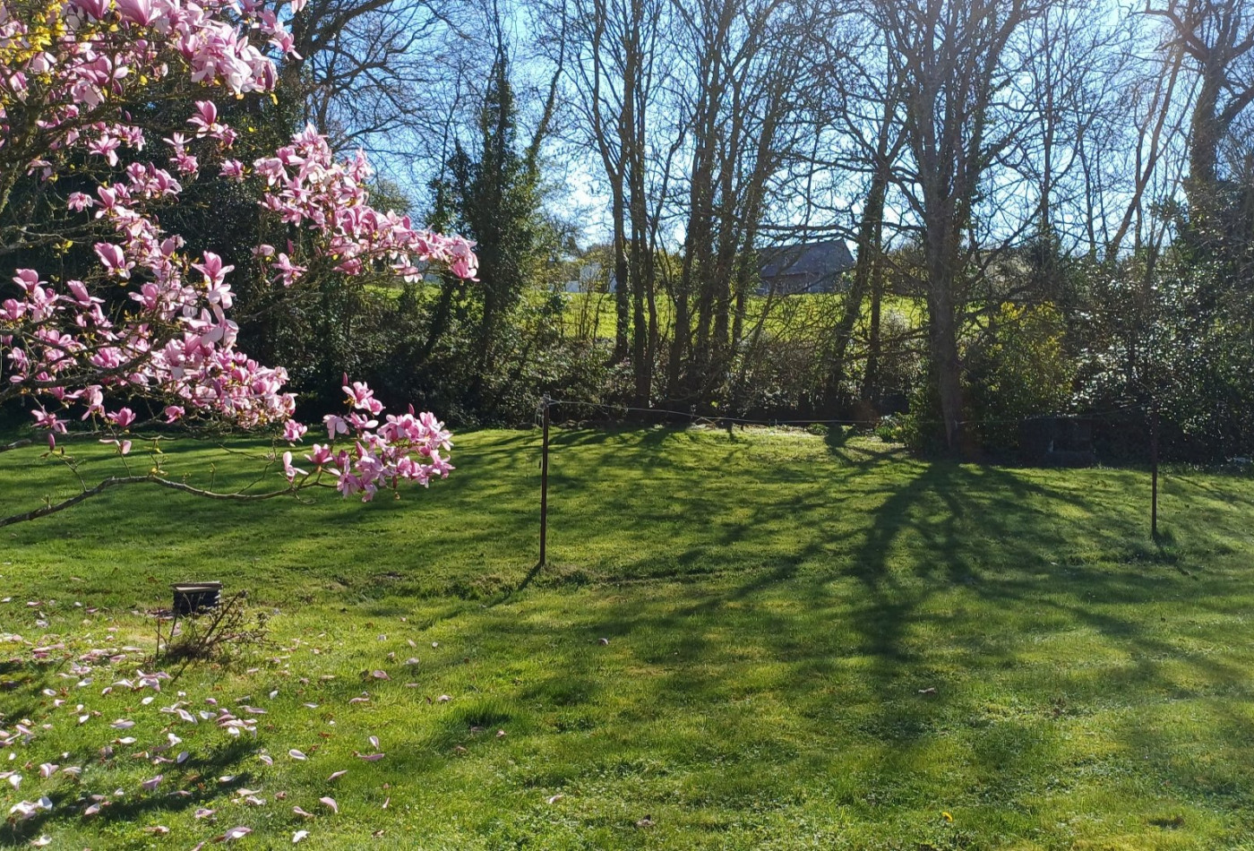 vente Maison Matignon - Photo 2