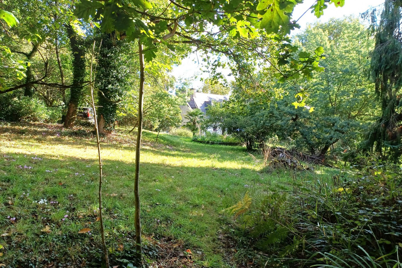 à vendre Propriété Plouer Sur Rance - Photo 9