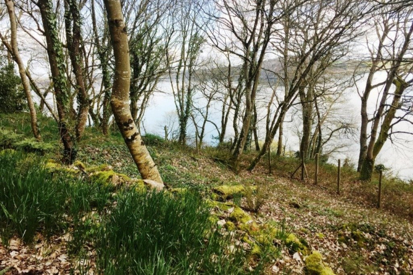 à vendre Propriété Plouer Sur Rance - Photo 2