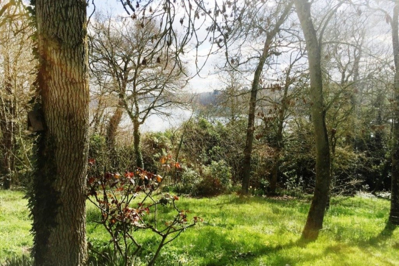 à vendre Propriété Plouer Sur Rance - Photo 7