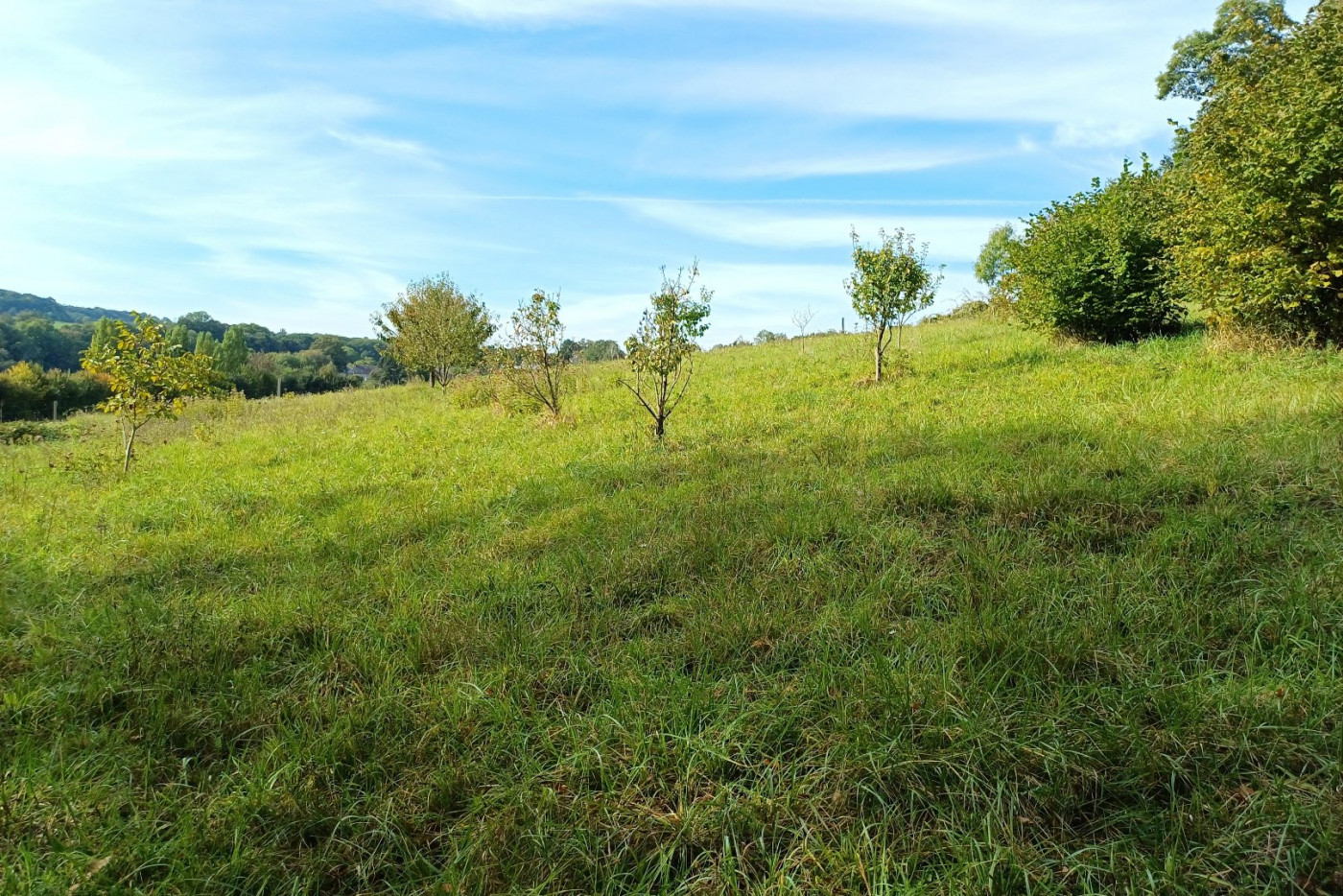 à vendre Propriété Plouer Sur Rance - Photo 3