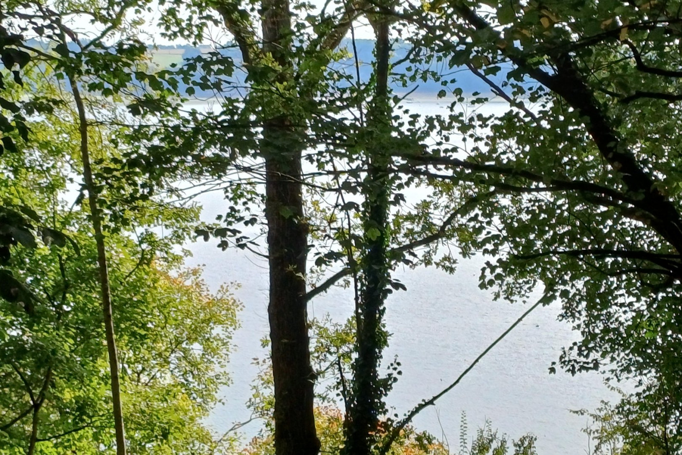 à vendre Propriété Plouer Sur Rance - Photo 4