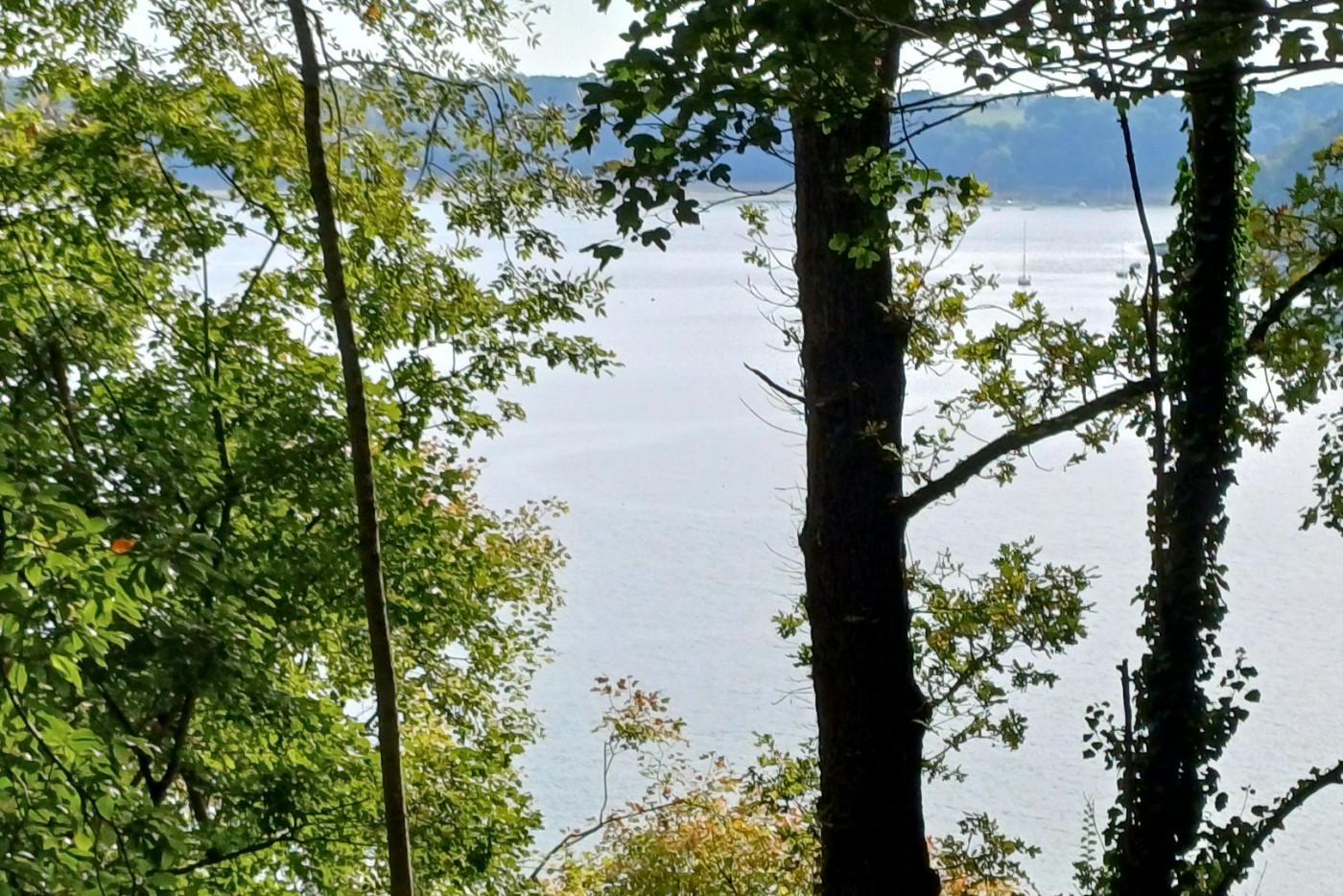 à vendre Propriété Plouer Sur Rance - Photo 5