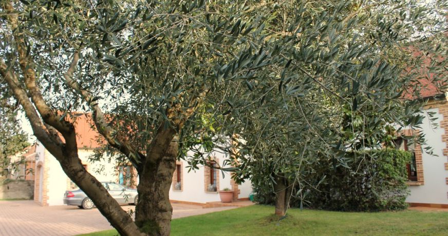 vente Maison Grez Sur Loing