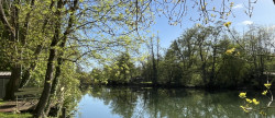 vente Maison Fontainebleau
