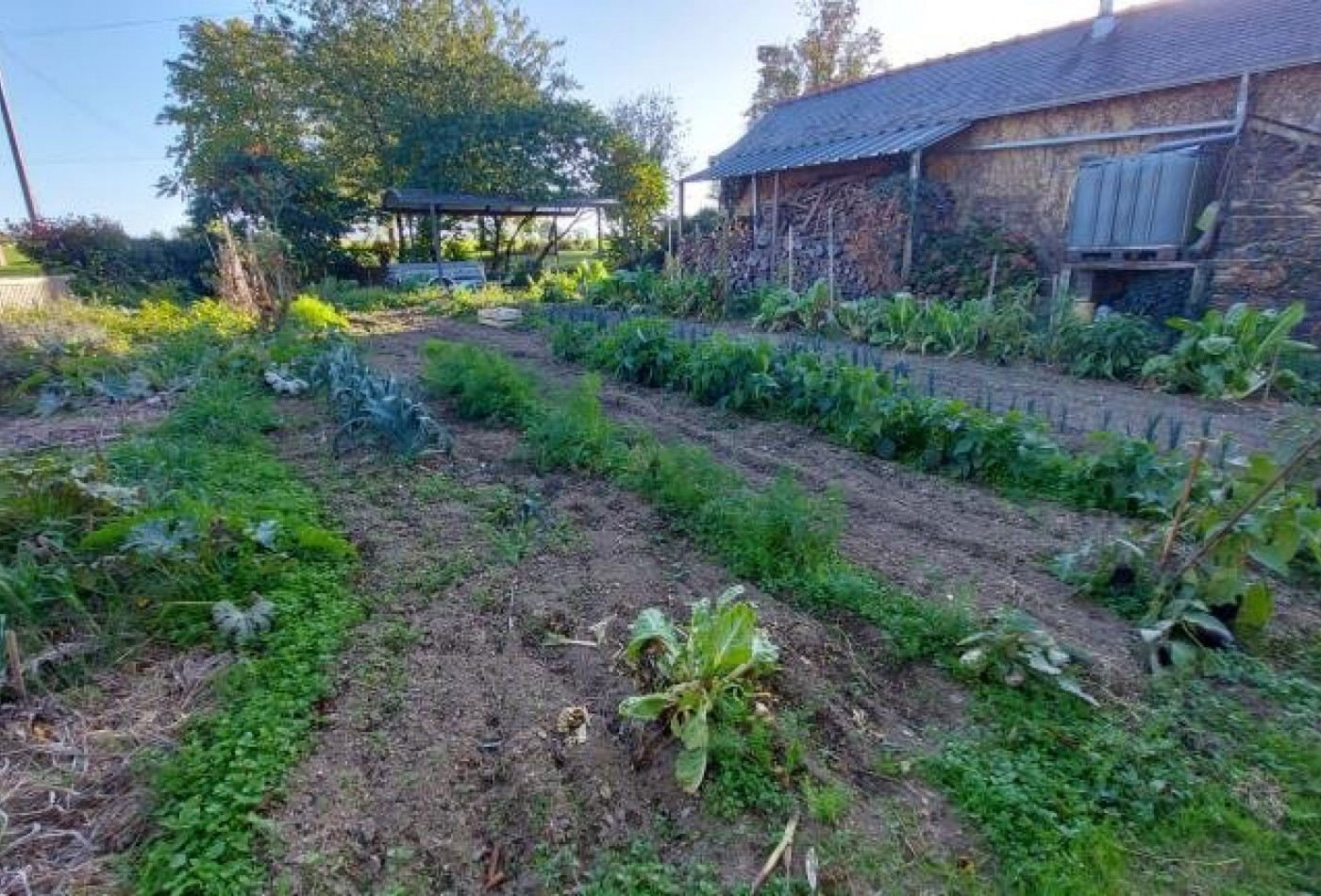vente Maison de campagne Saint Erblon - Photo 4