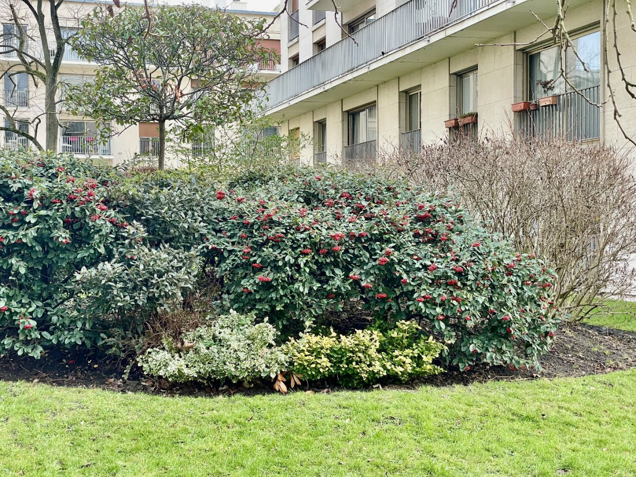 à vendre Appartement en résidence Versailles - Photo 1