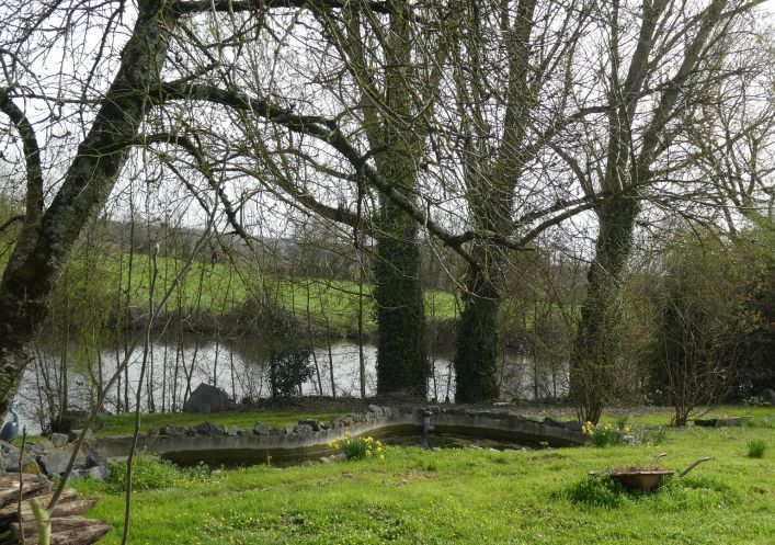 à vendre Maison individuelle Argenton L'eglise