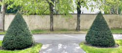 vente Appartement en résidence Versailles