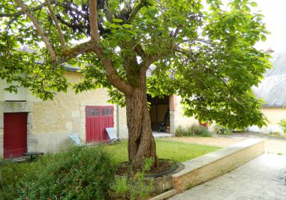 vente Maison de ville Cour Cheverny