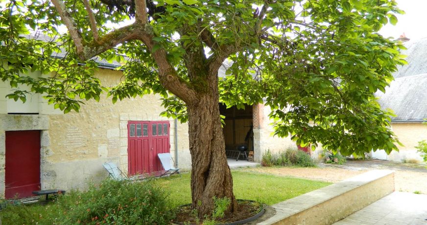 vente Maison de ville Cour Cheverny