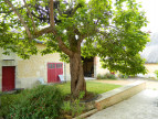 à vendre Maison de ville Cour Cheverny