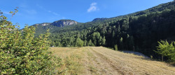 vente Terrain à aménager Vallouise