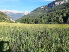 à vendre Terrain à aménager Vallouise