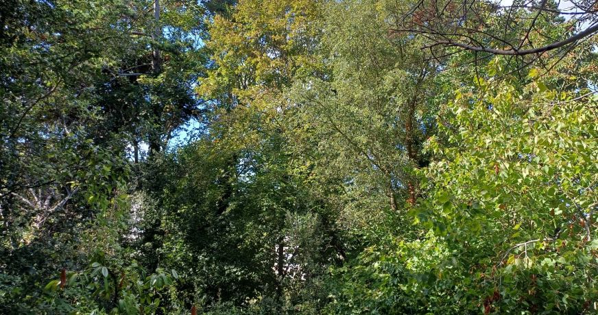 vente Terrain Saint Cast Le Guildo