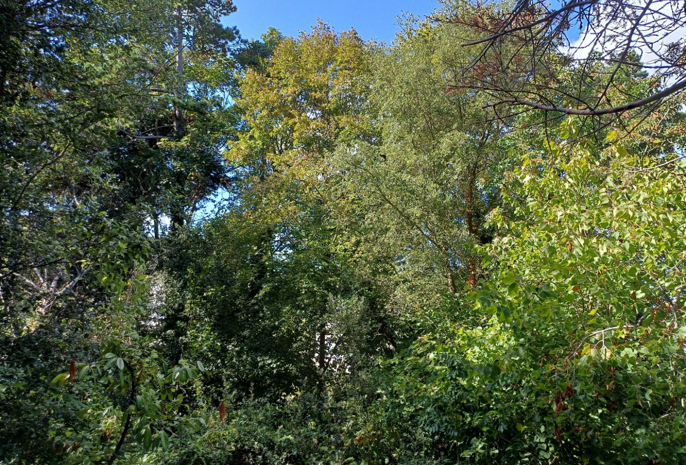 vente Terrain Saint Cast Le Guildo - Photo 9