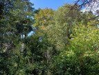 à vendre Terrain Saint Cast Le Guildo