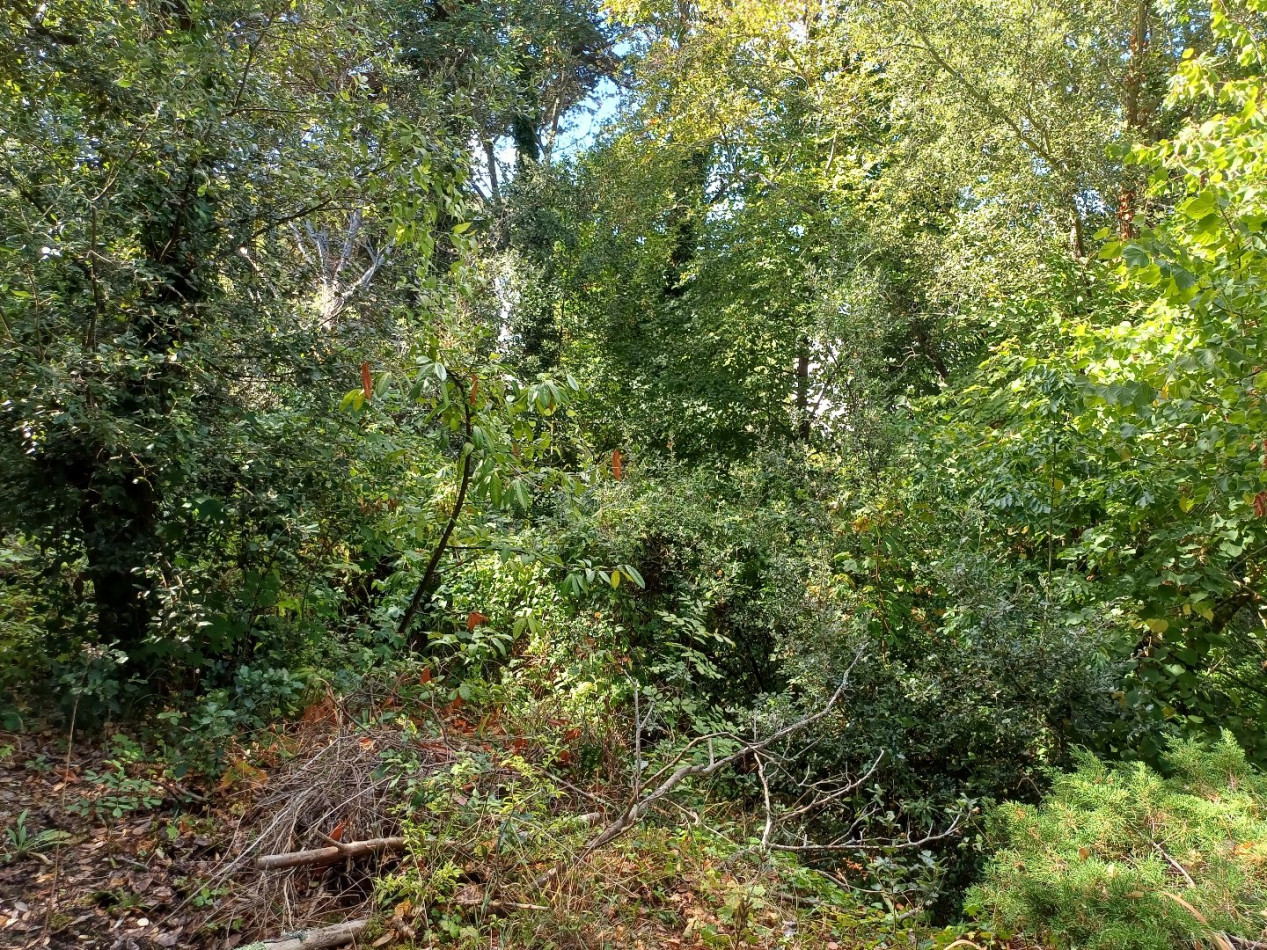 à vendre Terrain Saint Cast Le Guildo - Photo 7