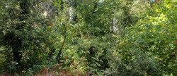 vente Terrain Saint Cast Le Guildo