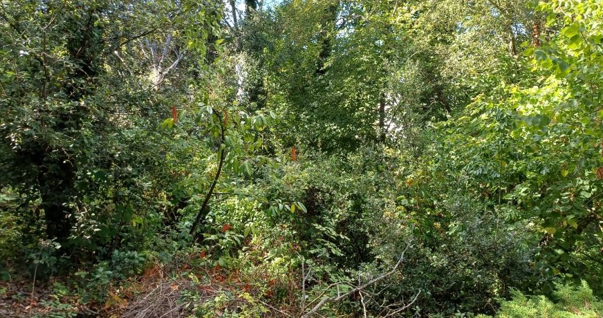 vente Terrain Saint Cast Le Guildo