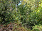 à vendre Terrain Saint Cast Le Guildo