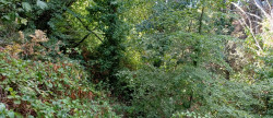 vente Terrain Saint Cast Le Guildo
