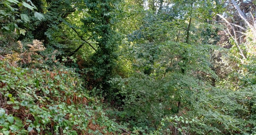 vente Terrain Saint Cast Le Guildo
